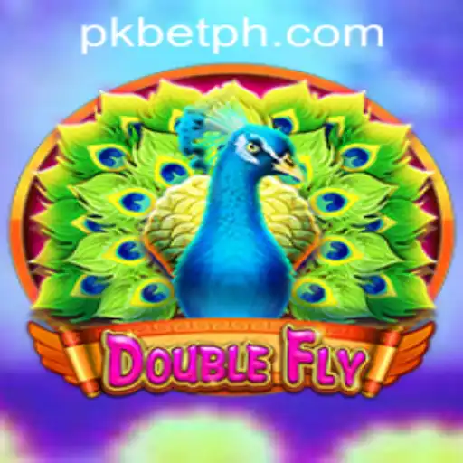 Discovering DoubleFly: A Thrilling Journey Through Its Virtual Skies